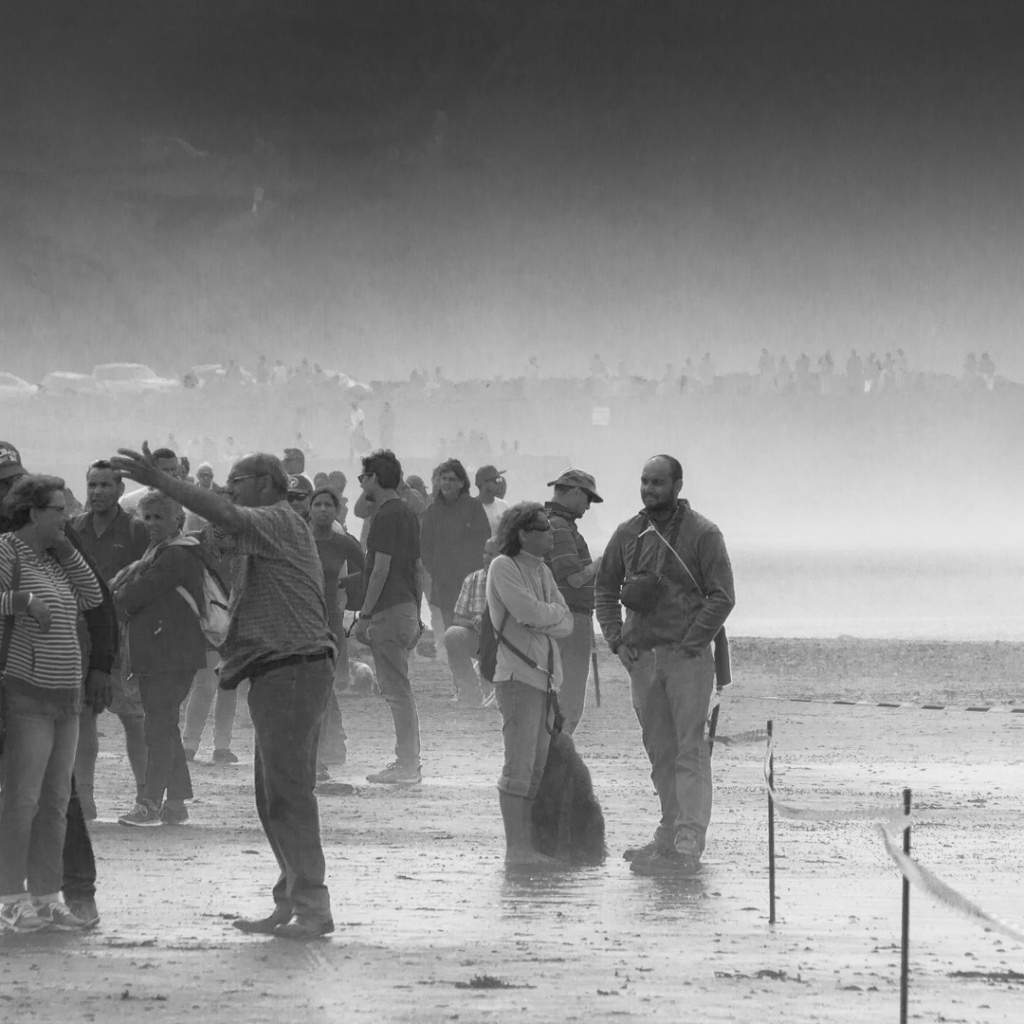 Défilé Commémoration 72 D-day