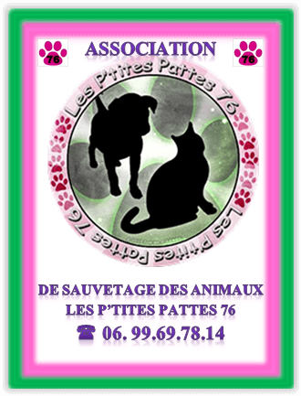 Ancien logo